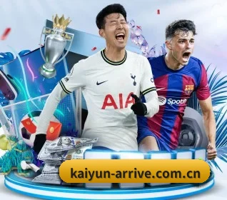 五大服务分区,信息按项目分类 | kaiyun