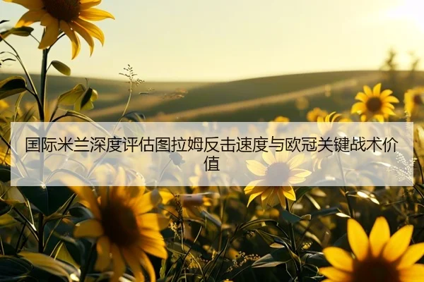 guo-ji-mi-lan-shen-du-ping-gu-tu-la-mu-fan-ji-su-du-yu-ou-guan-guan-jian-zhan-shu-jia-zhi-3-819.jpg